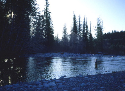 Gold River 1