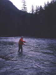 Gold River 10
