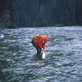 Gold River 11