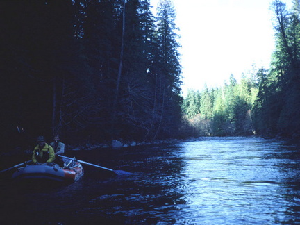 Gold River 16