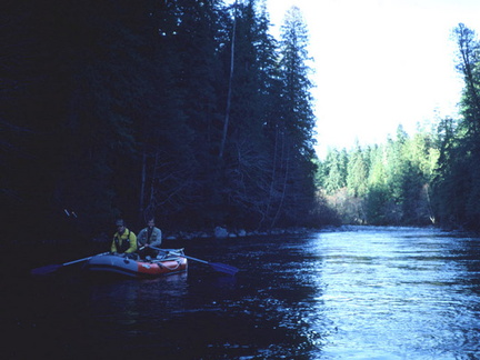 Gold River 20
