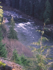 Gold River 3