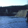 Gold River 33