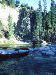Gold River 38