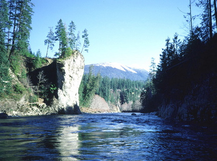 Gold River 39