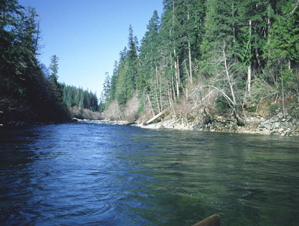Gold River 8