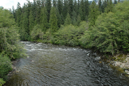 Gold River above town 1