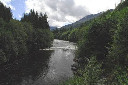 Gold River above town 3