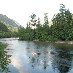 Gold River System