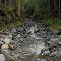 Spate creek 1
