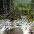Spate creek 2
