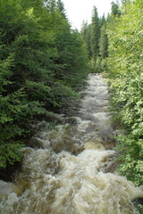 Upana River 1