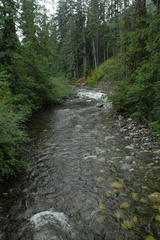 Kaipit River 1