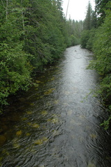 Kaipit River 2