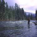 Nimpkish  River 10