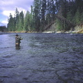 Nimpkish  River 2
