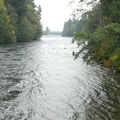 Campbell River - downstream