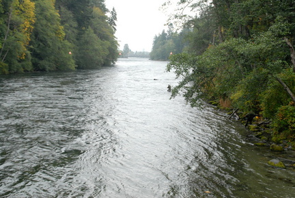 Campbell River - downstream