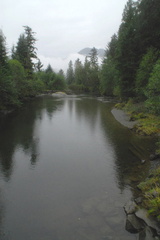 Canton Creek 2