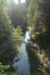 Caycuse River 1