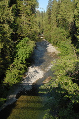 Caycuse River 2