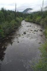 Nesook River 2