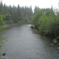 Tahsis River 1