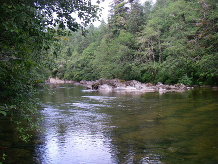 Upper Tahsish River 2