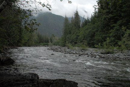 Zeballos River 1