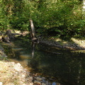 Tsulton River 5
