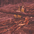 Turn of logs 2