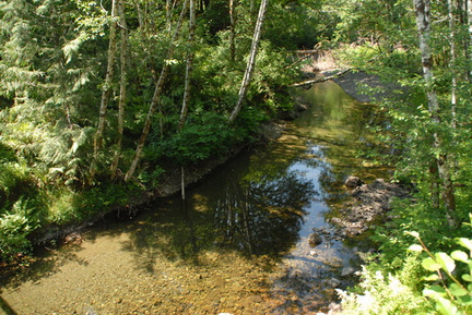 Parker Creek 2