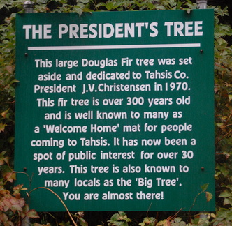 Presidents tree 3