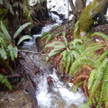 Winter creek 1