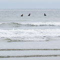 Long Beach surfers