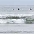 Long Beach surfers 2