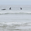 Long Beach surfers 3