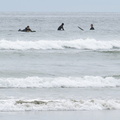 Long Beach surfers 6