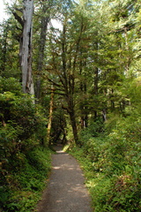 San Josef trail 1