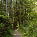 San Josef trail 1
