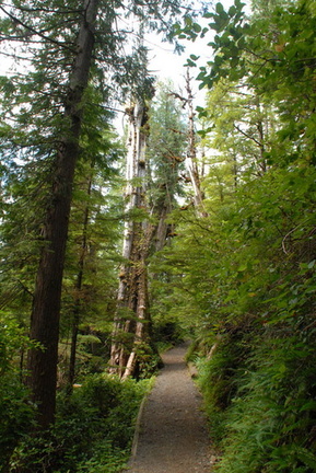 San Josef trail 2