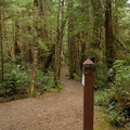 San Josef trail 3