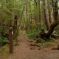San Josef trail 5