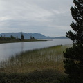 Kennedy Lake 5