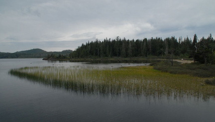 Kennedy Lake 7