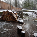 Split wood pile