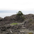 Amphitrite lighthouse 6