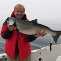Don Stokes 1