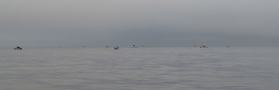 Foggy morning competition 1