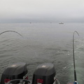 Trolling in the fog waiting for bite